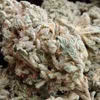 The Diamond Bonsai Website