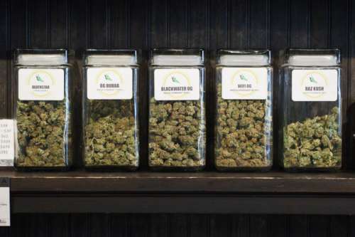 Altitude East Denver Website