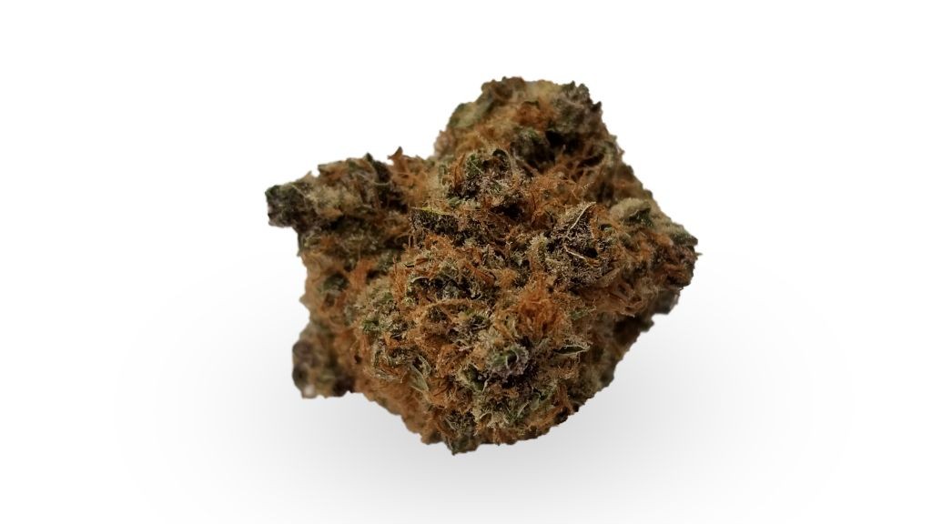 Nature's Medicines - Fall River Website