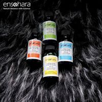 Ensohara INC Website