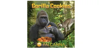 Always Greener Downtown - Redmond Website