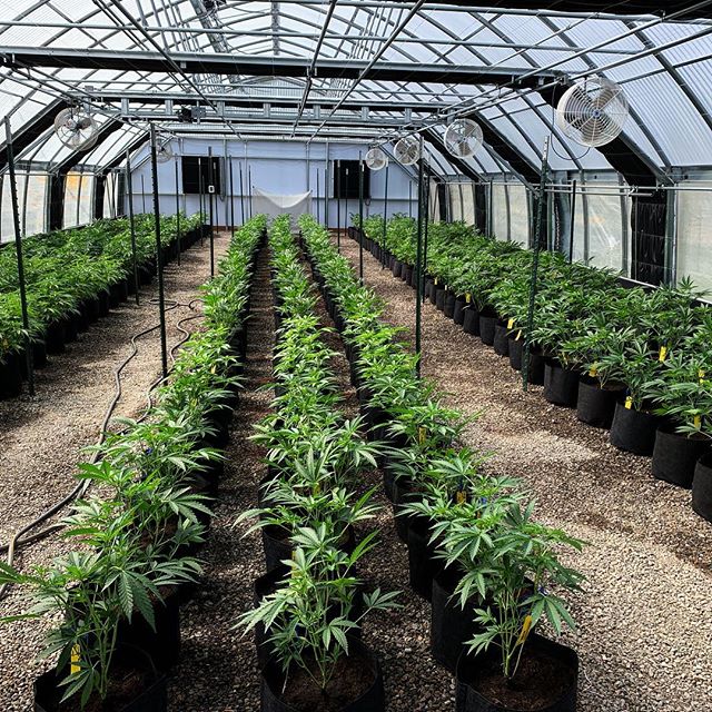 Spark1 - Bozeman Website