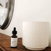 Populum Naturals Website