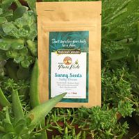 Pura Vida Health Website