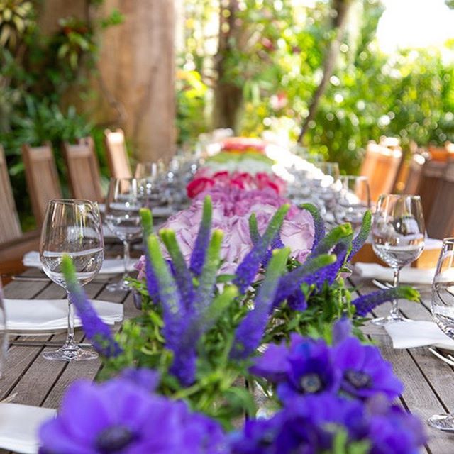 Surterra Wellness - St. Petersburg Website