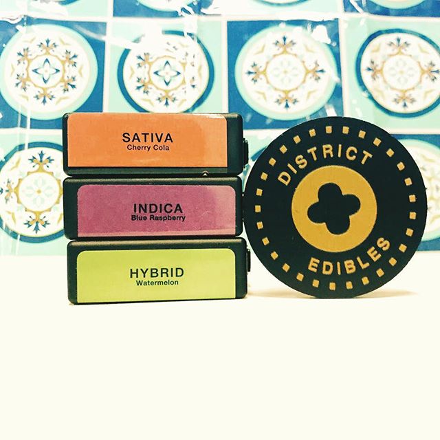 Captain Jacks Website