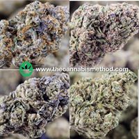 The Cannabis Method Website