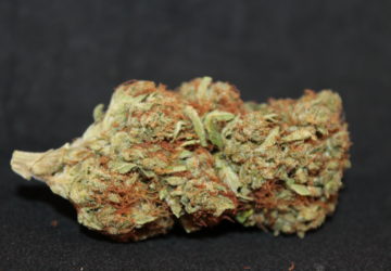 Green Fellas Website