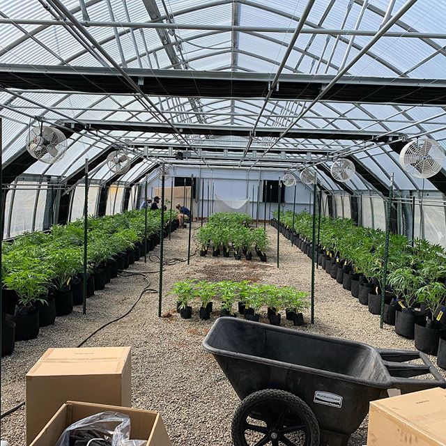 Spark1 - Bozeman Website