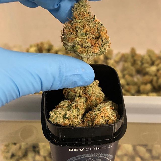 Revolutionary Clinics - Fresh Pond Website