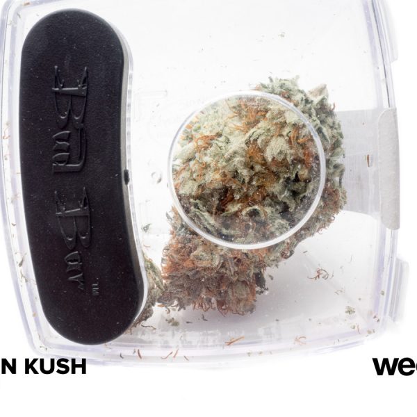 A Greener Today - Lynnwood Website