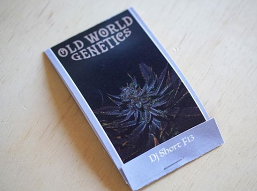 Green Elevation Delivery Website