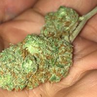 LoudPack Farms Website