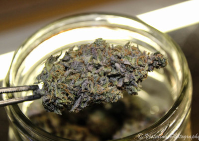 Twenty After Four Wellness Center Website