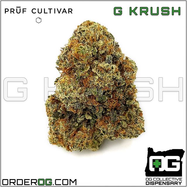 OG Collective - Hawthorne Website