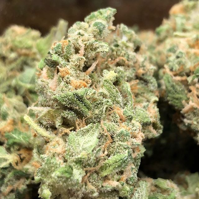 The Greenhouse of Walled Lake Website