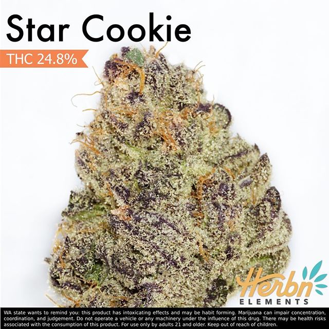 Herbn Elements – Lake City, Seattle Website