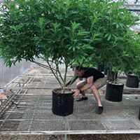 Ultra Health - North Valley Website