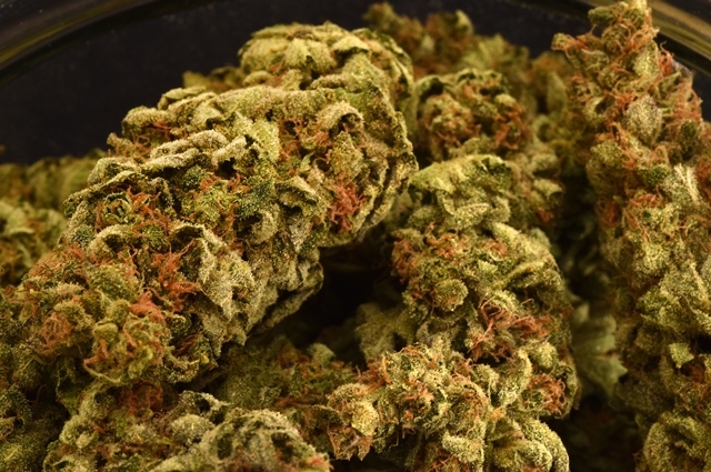 Pure Medical 2 Website