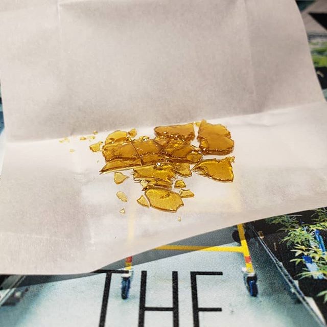 Five Zero Trees East Website