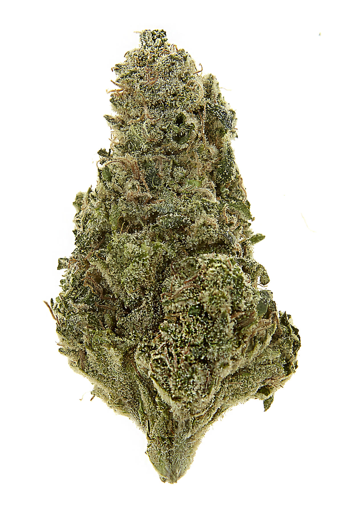 AGT - Lake Forest Website