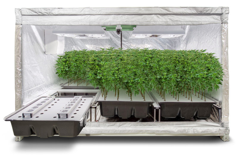 Avid Growing Systems Website