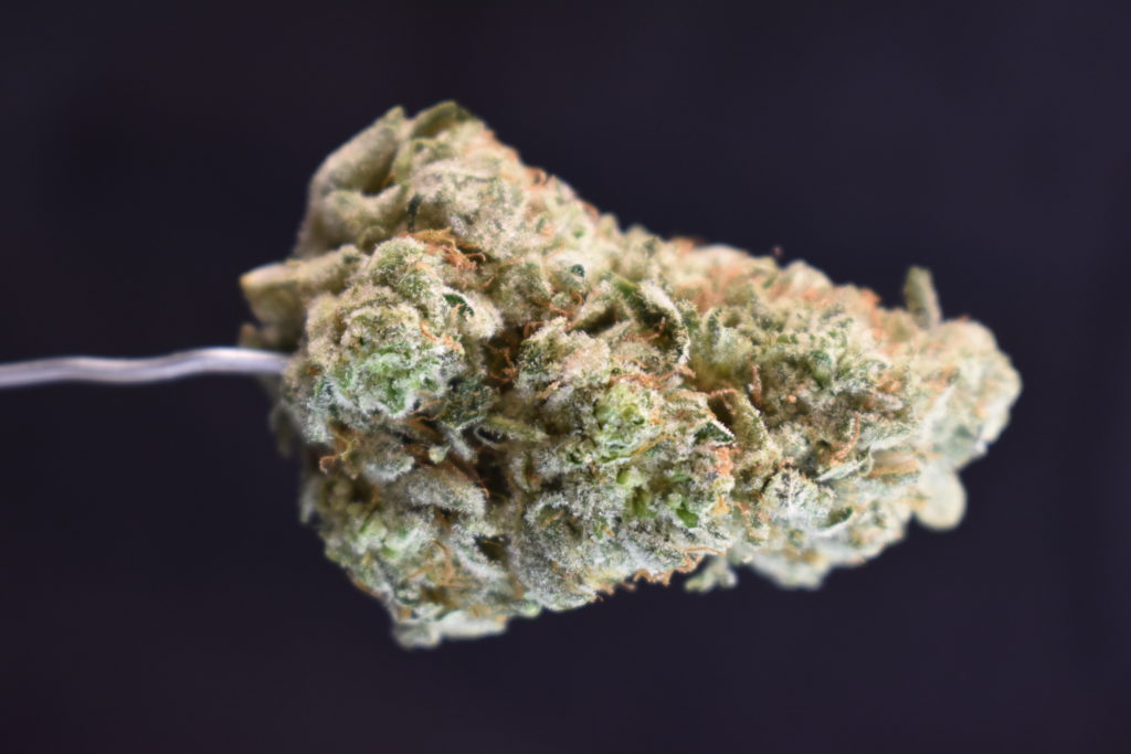 Healthy Greens Delivery Website