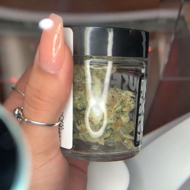 Kush21 - Pullman Website