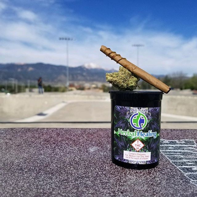 Herbal Healing Website