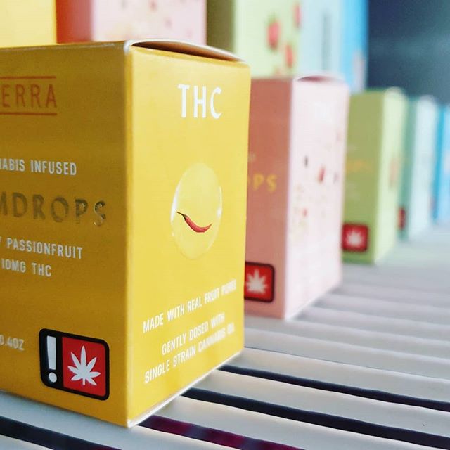 Five Zero Trees East Website