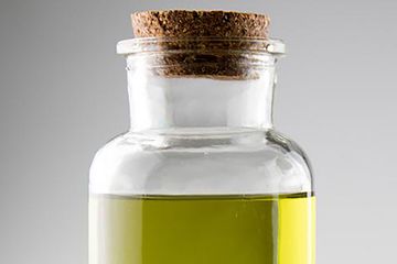 The Hemp Plug Website