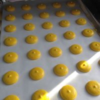 proBAKE Inc. Website