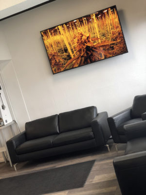 Alaska's Green Light District Website