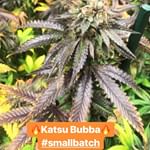 Sacred Seed Medical Dispensary Website