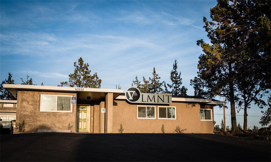 The Vth LMNT Website