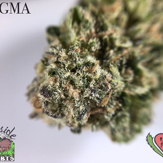 Loving Farms - Mount Vernon Website