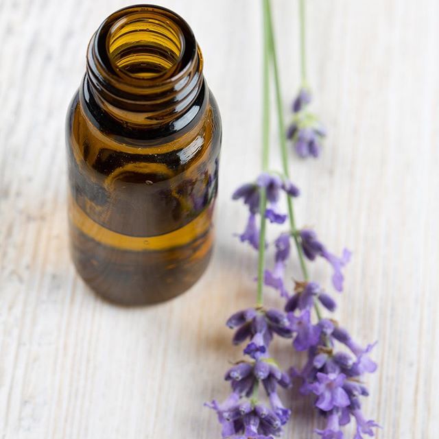 Surterra Wellness - St. Petersburg Website