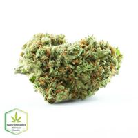 Cannawholesalers Website