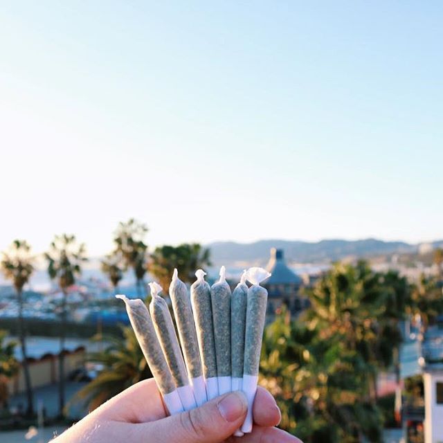 From The Earth - Santa Ana Website