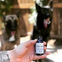 Easy Day Hemp Website