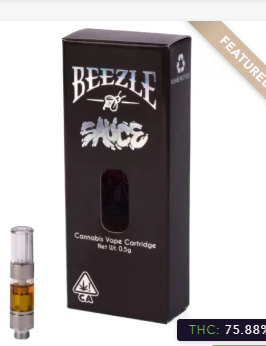 Bay Care Delivery Website