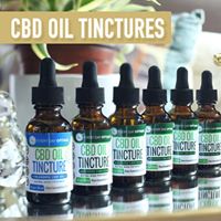 Every Day Optimal Website