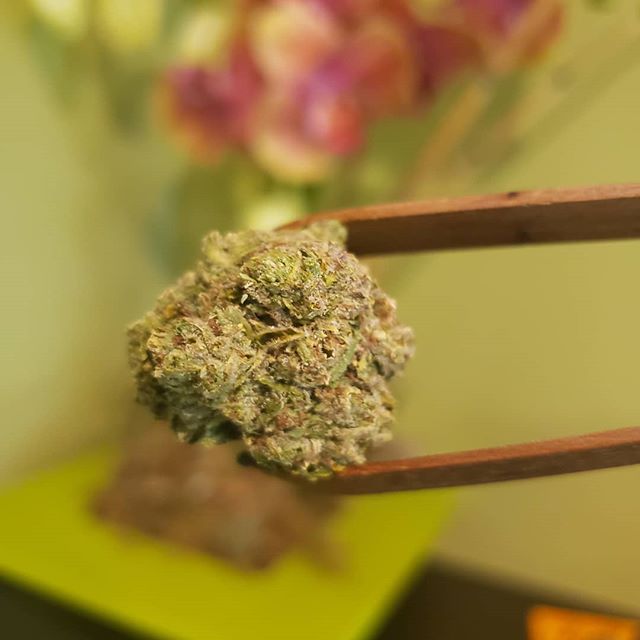 Market Street Wellness Website