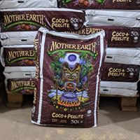 Big Green Tomato Website