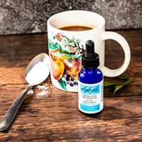 Ensohara INC Website