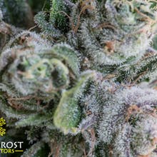 Permafrost Distributors Website