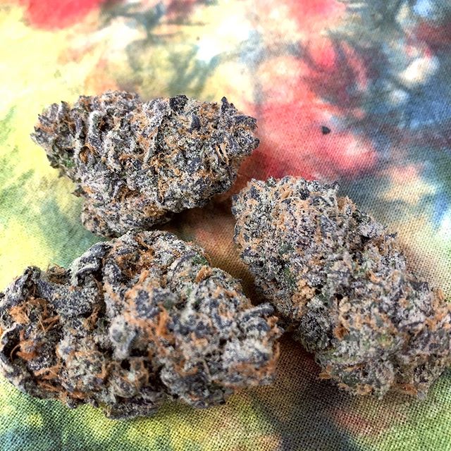 Canopy Health and Wellness Website