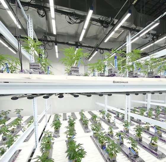 Greenhaus Industries Website