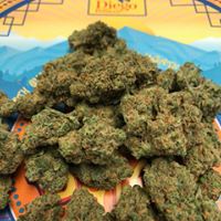 Diego Pellicer - South Denver Website