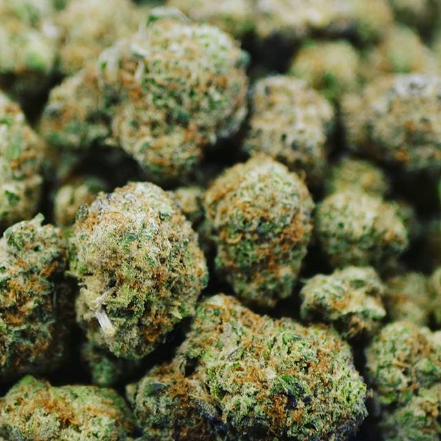 Trees Waterfront Website